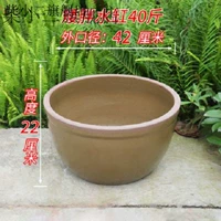 40 кот лотоса горшка