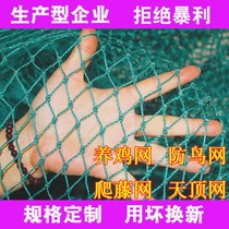 Chicken net encirclement small poultry breeding net mountain nylon net anti-bird net fence Grid Net crawling Net special offer