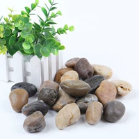 PU PAOLI 4-7 см пять фунтов