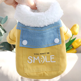 Pet Cotton Coat Teddy Autumn and Winter Clothing Small Dog Thickened Warm Dog Clothes Yorkshire Pomeranian Poodle Cat
