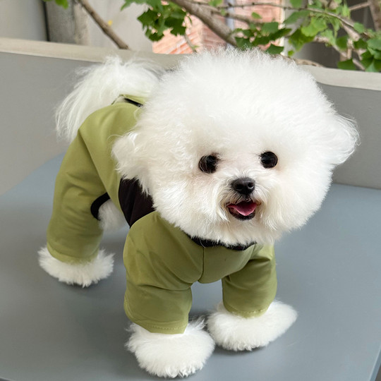 Pet Four-Legged Padded Coat with Leash Attachment, Dog Clothes for Teddy, Bichon, Pomeranian, Yorkshire Terrier, Small Dogs, Autumn and Winter Wear