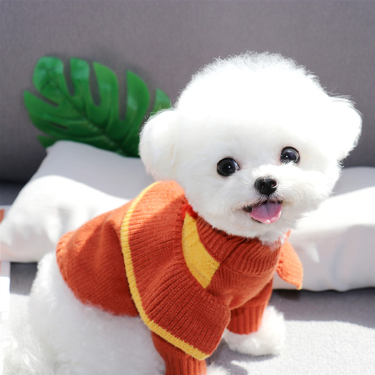 Bixin Pet Knitted Sweater for Teddy, Bichon, Poodle, Kitten, Cat, Yorkshire, Maltese, Dog Clothes