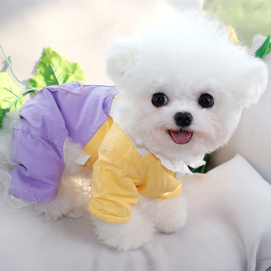 Dog Four-Legged Cotton Coat Teddy Schnauzer Bichon Poodle Small Puppy Thickened Warm Autumn and Winter Pet Clothing