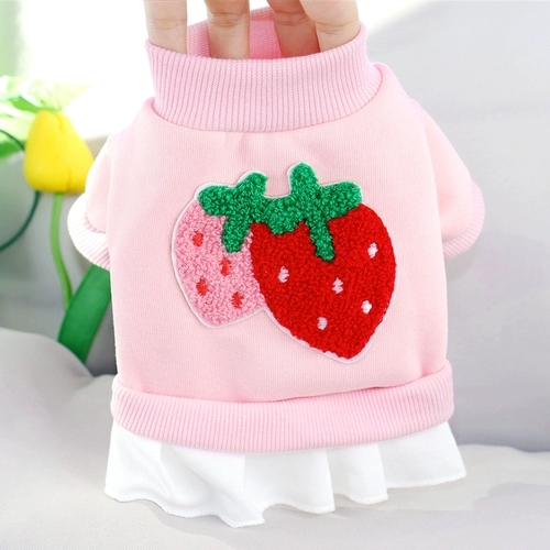 Puppy Spring и осенняя потная пота Teddy Bie Beauty Pets осень и зимние маленькие кошки и одежда для кошек -инсии