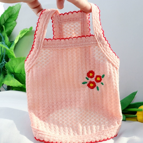 Собака летнее студенческое плюшевое медвежье медвежь