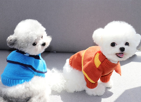 Bixin Pet Knitted Sweater for Teddy, Bichon, Poodle, Kitten, Cat, Yorkshire, Maltese, Dog Clothes