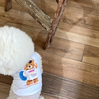 Белый медведь