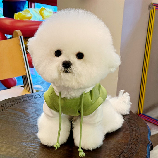 Puppy Clothes Drawstring Hooded Sweatshirt Spring New Style Small Dog Puppy Pomeranian Teddy Bichon Cat Clothes