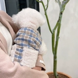 Лучшая домашняя собака собака одежда плюшевого медведя красота красотка биннари