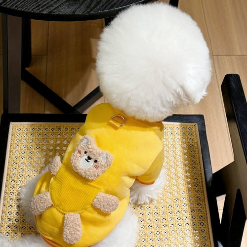 Новинка 2024 года, осенне-зимняя одежда для щенков, трехмерная карманная толстовка с тягой медведя на двух ногах, одежда для кошек и домашних животных