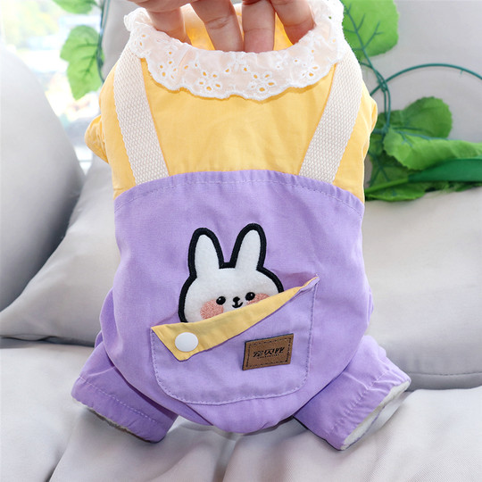 Dog Four-Legged Cotton Coat Teddy Schnauzer Bichon Poodle Small Puppy Thickened Warm Autumn and Winter Pet Clothing