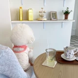 Лето тонкий питомец плюшевый жилет Барри Жилет маленькие собаки и кошачья летняя летняя собачья одежда дышат и выпускаются