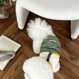 Джаки для домашнего хлопка плюс деньги могут нарисовать одежду для собак.