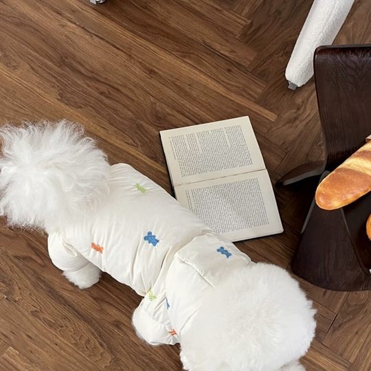 Хлопковая одежда для собак на четырех лапах: осенне-зимняя одежда для собак пород Тедди, Померанский шпиц, Бишон, Йоркшир (для маленьких собак)