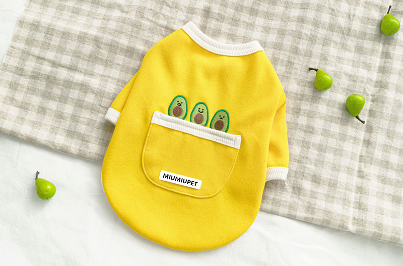 Pet Button Sweater in Action