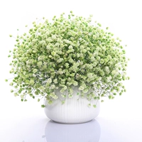 Pro Big Beam of Green Full -Cale Star+овальная фарфоровая бутылка