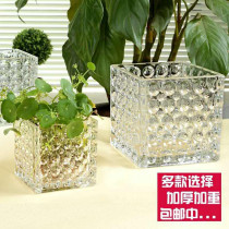 Lead free hydroponic glass vase simple transparent square cylinder square glass utensil table swing piece water-raising plant flower pot