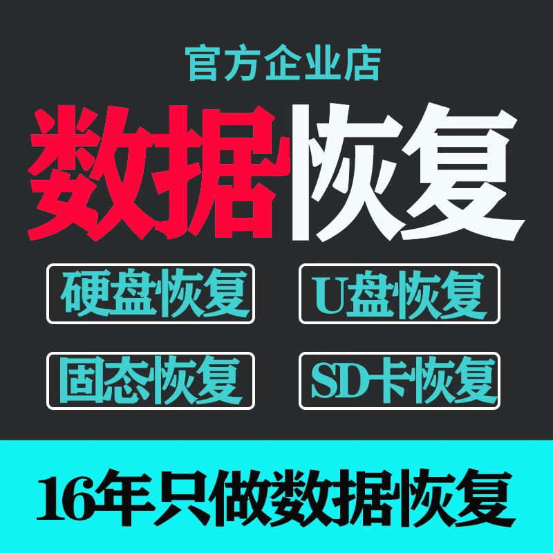 Computer Mobile Hard Drive Data Recovery USB Flash Drive Memory Sd Card Photo File Repair Hard Drive Repair Software Service