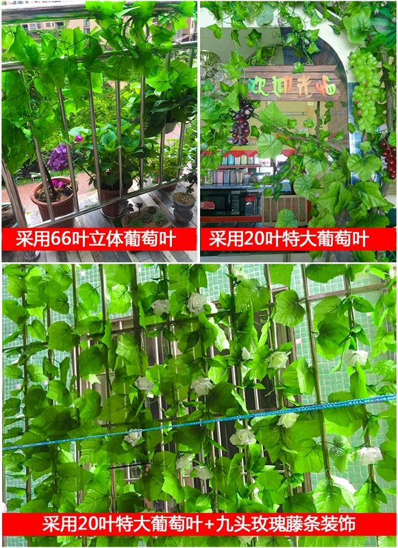 Mô phỏng mây hoa nho giả hoa giả cây lá xanh lá nho lá xanh trần trang trí cây nho treo tường - Hoa nhân tạo / Cây / Trái cây