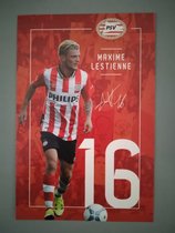 Lestienne Maxime Lestienne PSV Eindhoven Official Printed Card
