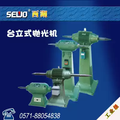 Hangzhou SEWO West Lake full copper wire electric polishing machine cloth wheel linen wheel nylon wheel high power double tip shaft rust removal