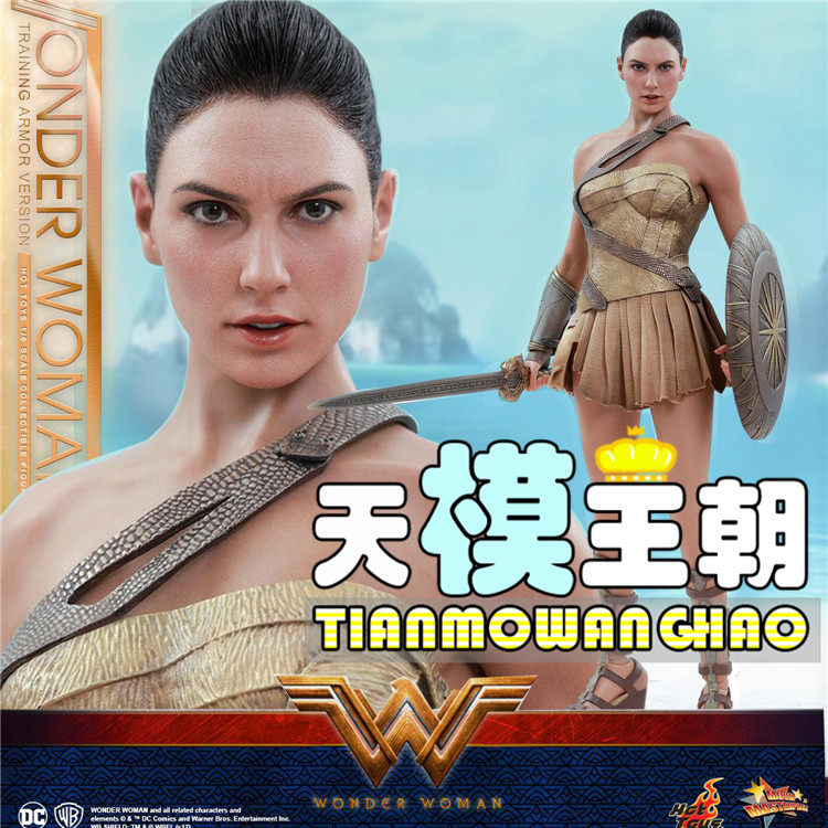 Hottoys HT 1 6 MMS424 Wonder Woman 2 0 Training armor version Gelgado spot