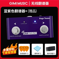 Сине-фиолетовый музыкальный переводчик+подарки