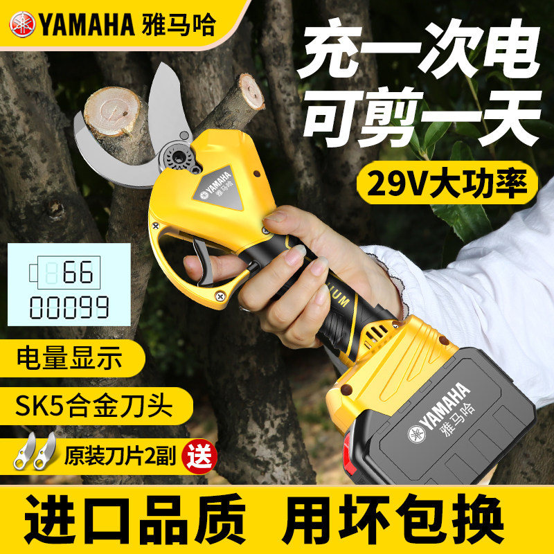 电剪什么品牌的好?2024年真实测评告诉你选对不踩坑-品牌推荐-淘宝百科网