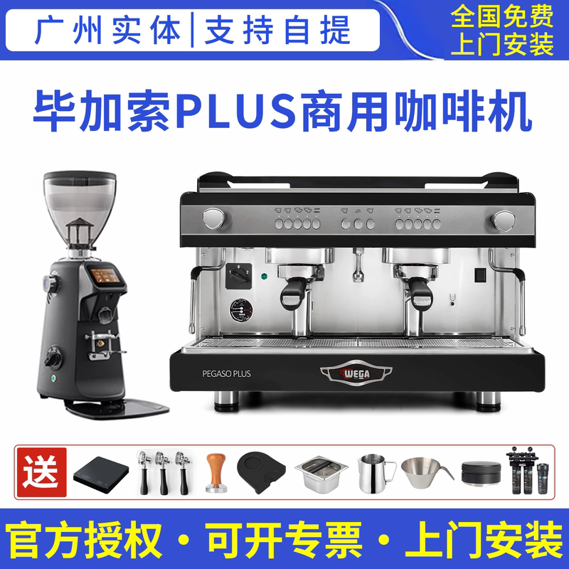 Wega Pegaso Plus Picasso Double-Head Italian Semi-Automatic Coffee Machine Imported from Italy