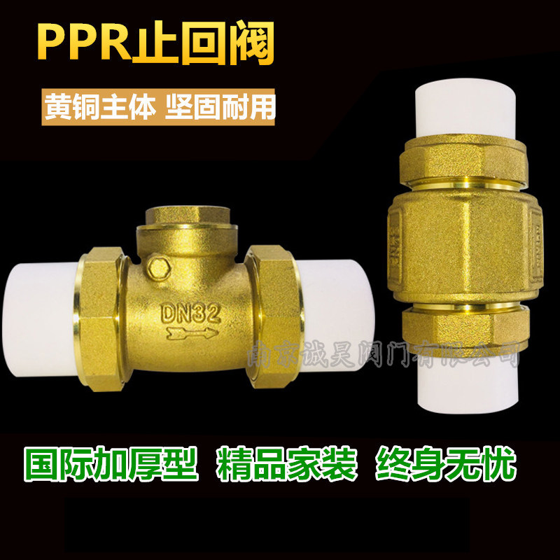 PPR check valve Brass horizontal vertical check valve Check valve Check valve Check valve PPR water pipe fittings accessories