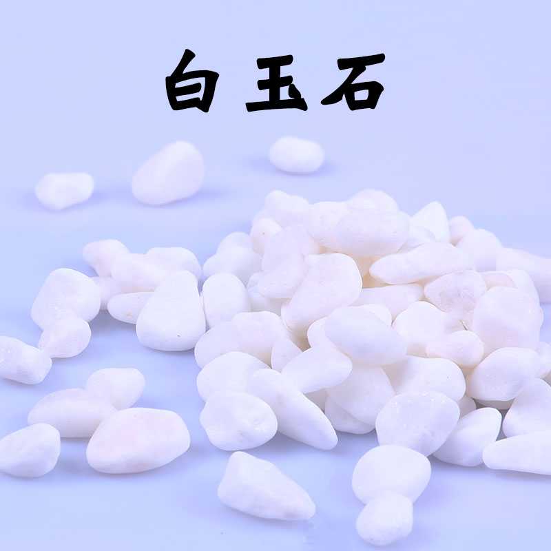 Vật liệu làm vườn hoa lan, ngọc trắng trang trí vật tư, chậu thủy canh trang trí thịt vòi tưới lan