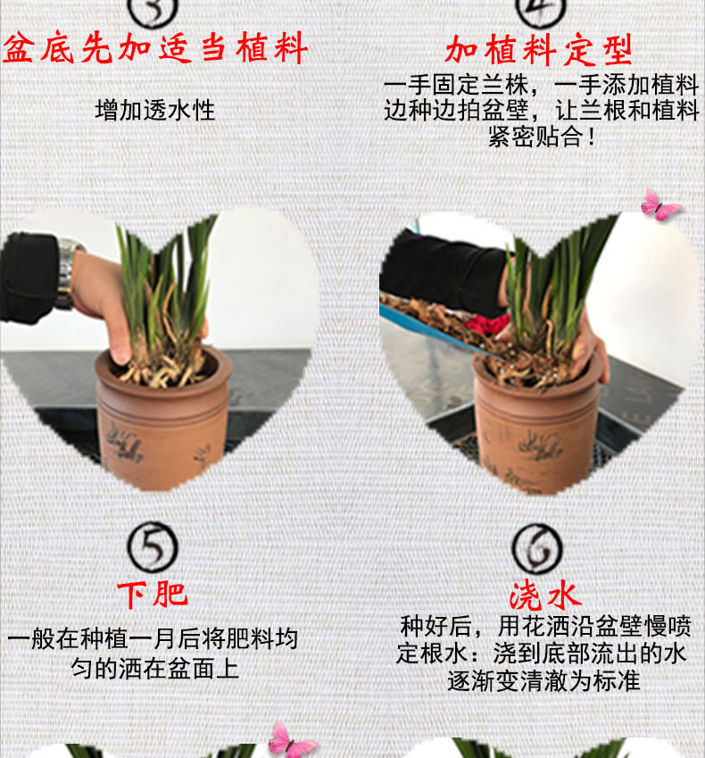 Ceramsite hữu cơ tính khí nguồn cung cấp vườn phong lan đất chậu hoa đáy dưới chậu thoát nước hạt hoa màu xanh lá cây thực vật bộ dụng cụ làm vườn