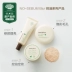 Innisfree 悦 诗 风 吟 油油 女 定妆 油 phấn phủ sempre Bột nén