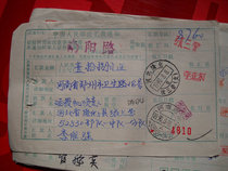Date-stamped remittance slip DA274 Hebei Longhua·Zhang Sanying (branch)