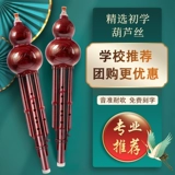 Этнические профессиональные музыкальные инструменты для начинающих для школьников для взрослых