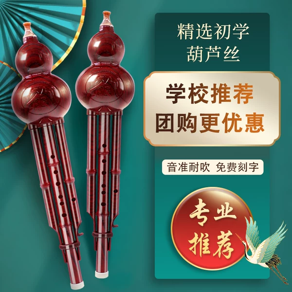Товары от 雀心乐器专营店