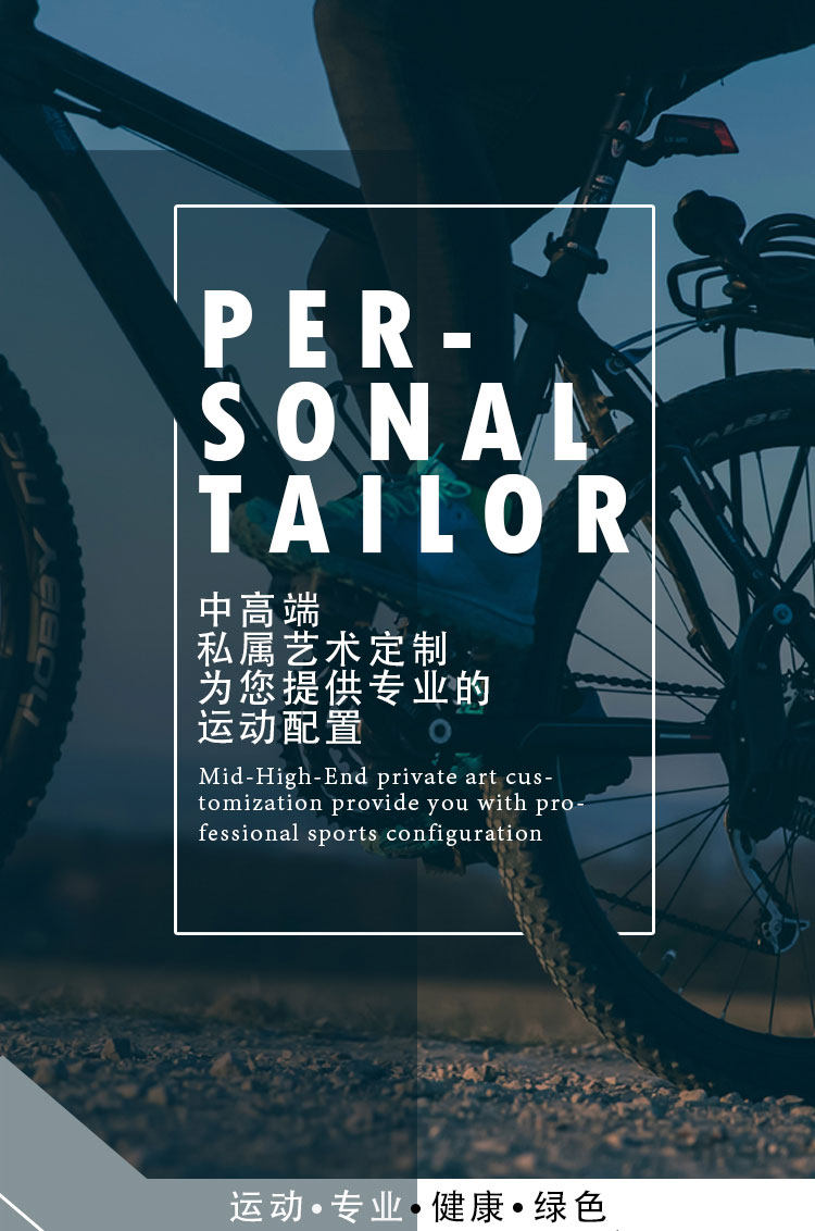 light bicycle falcon pro