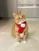 Cute Cat Festive Scarf Pet Scarf 2023 New Puppy Accessories Pet Supplies Wool Puppy Scarf