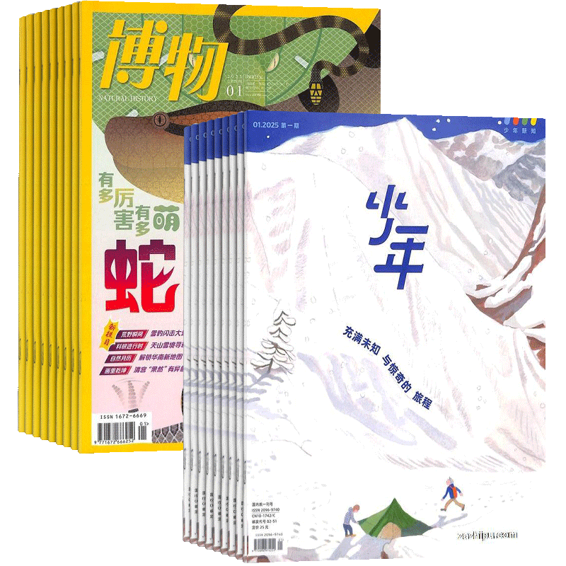 博物+少年新知杂志组合 2025年4月起订 1年共24期 杂志铺订阅 中小学生科学历史生物自然科普 青少年人文思维启蒙课外阅读期刊-Taobao