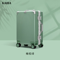 Оливковая зеленая [двойная интрасеть