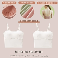 Gardenia White+Gardenia White