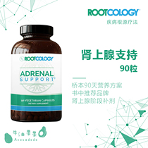 Adrenal Support Rootcology Adrenal gland Support 90 avocado fruit Hashimoto thyroid