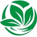 时珍艾草工厂店