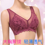 Coques pour soutien-gorge FIMAGE - Ref 811145 Image 9