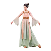 Qia classical dance suit female Han Tang style long body rhyme gauze Chinese dance practice clothes repertoire performance clothes top