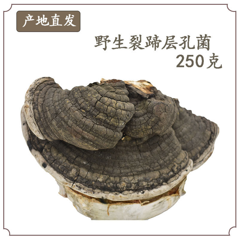 Changbai Mountain wild Ganoderma lucidum split hoof hole bacteria red meat quasi-layer hole bacteria Needle layer hole bacteria pruning new goods 250 grams