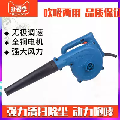 Dongcheng hair dryer household computer dust removal fan high-power industrial speed control blower suction fan Dongcheng