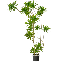 Lily bamboo simulated green plant potted plant large indoor decorative flower living room ornaments floor-standing tree advanced bionic fake plant
