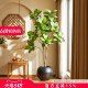 Bionic plant floor decoration indoor plant potted fake tree ornaments simulated green plants alpine ficus high-end decoration