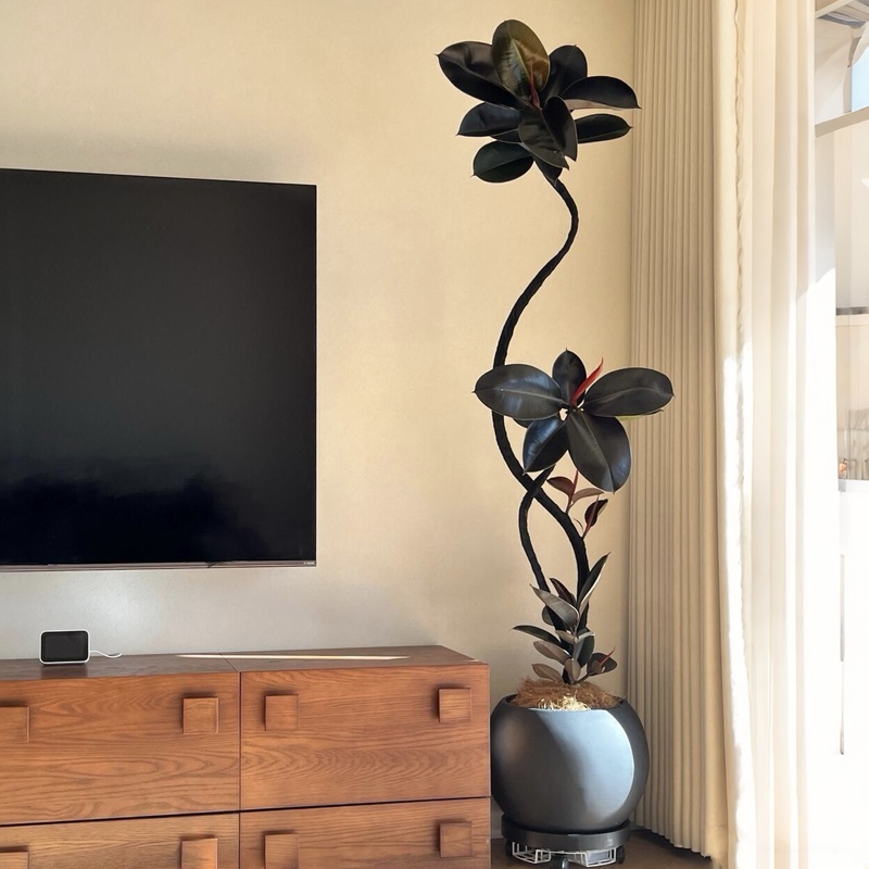 Black Diamond Rubber Tree Artificial Green Plant High-End Light Luxury Indoor Living Room Tv Cabinet High-Class Floor-Standing Ornament Fake Tree Black Diamond Rubber Tree Artificial Green Plant High-End Light Luxury Indoor Living Room Tv Cabinet High-Class Floor-Standing Ornament Fake Tree